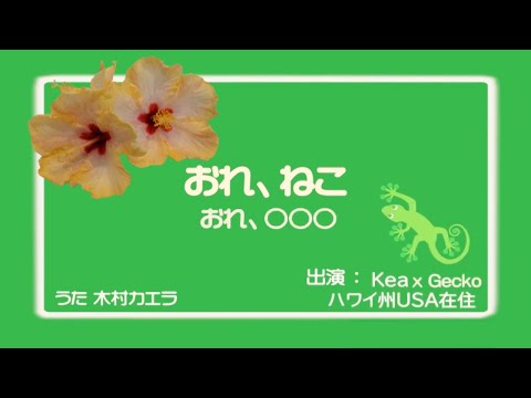 「おれ、ねこ」出演：ケア ✕ ○○○ Hawaiian cat Kea