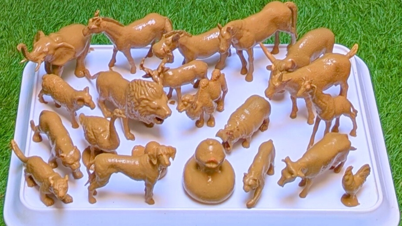 An Epic Expedition into the World of Little Farm Pets and Mighty Jungle Animals