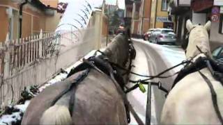 In het spoor van Sisi