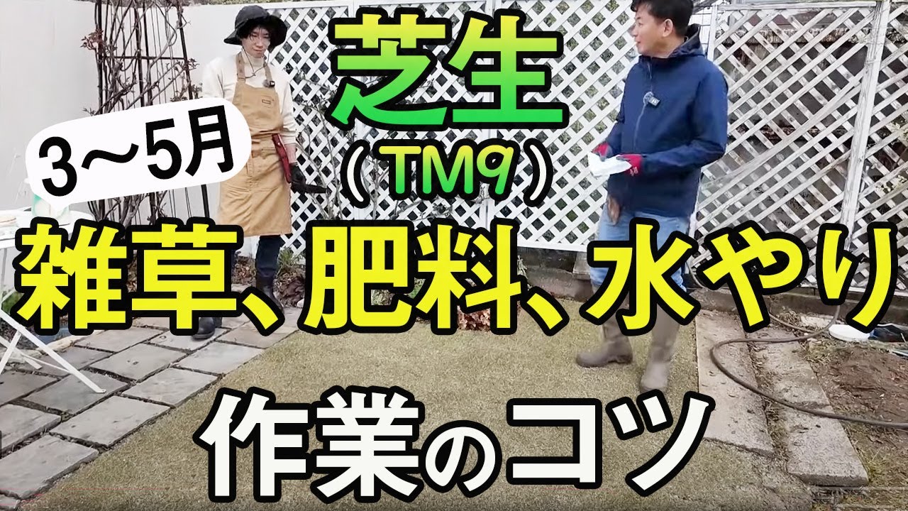 【TM9張ります】3月～5月の雑草取り、肥料、水やりのコツ