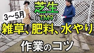 【TM9張ります】3月～5月の雑草取り、肥料、水やりのコツ