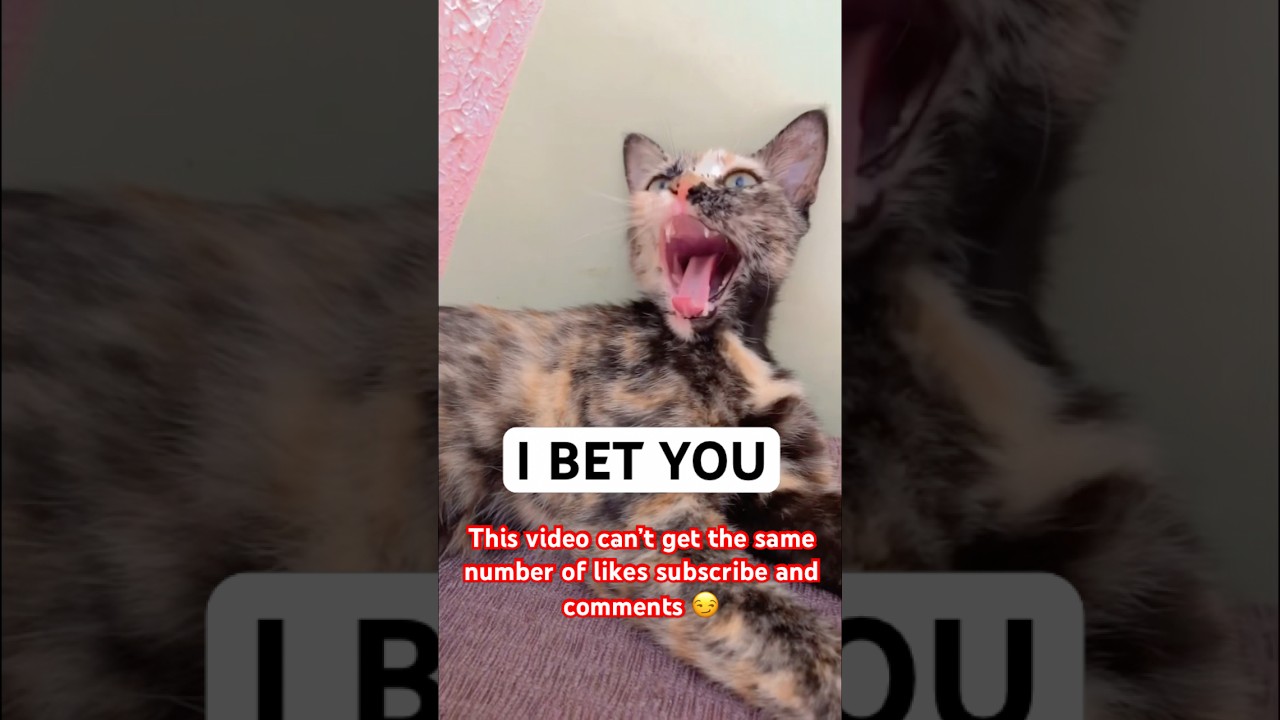 Держу пари, что да 🤧 