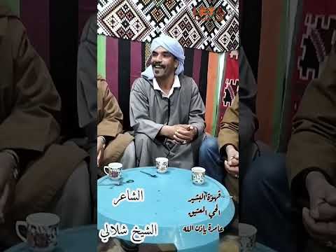 قهوة البشير بلحاج سهرة اليوم 20 مارس 2015 الشعر الملحون مع الشاعر شيخ الشلالي 