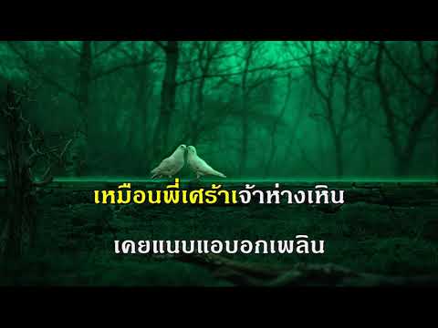 เหมือนไม่เคย นริศ เพลงลูกกรุง รวมเพลง ฟังเพลง คีย์ผู้หญิง ร้อง คาราโอเกะ ช่วงกักตัวโควิด 19