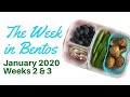 The Week in Bentos - January Weeks 2 &amp; 3 (aka: the lost weeks) | Wendolonia