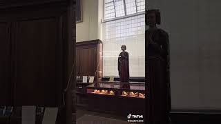 pov: ur collage library is a dark academia dream