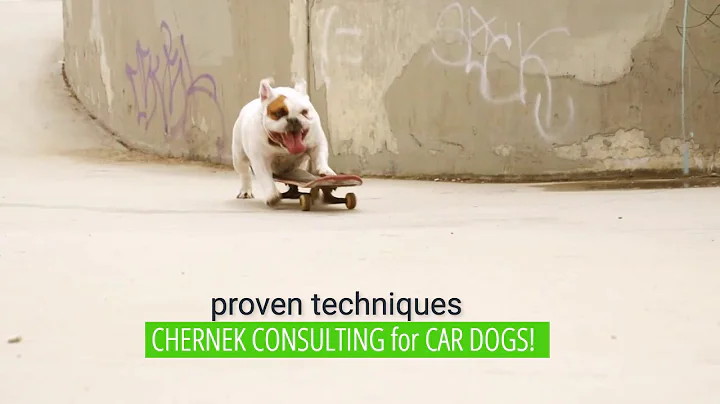 F&I Training - Automotive Income Development- Chernek Consulting