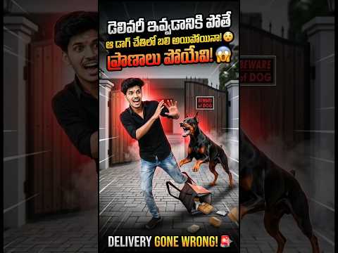 Delivery Gone Wrong! 😱 Chased by a Dangerous Dog#deliverypartner #vlog #funny #neelamotovlog
