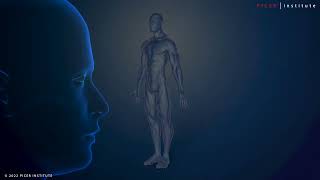Our Viewing Technology: a direct reflection of physical matter