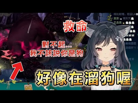 【森森鈴蘭 Lily Linglan 精華】不小心說錯話的蘭蘭 拼命道歉? Figment2 遊戲精華