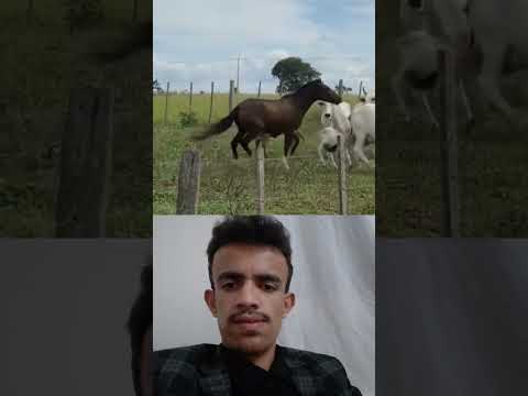 كل من حولك سوف يتخلون عنك الا أمك لن تتخلى عنك لو كلف الأمر حياتها فلن تتخلى عنك أبدا