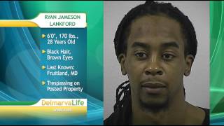 Most Wanted Monday- Monday, January 12th, 2015