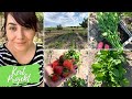 1 nap a veteményesben + mini szerb food haul - kertészkedős vlog - Kert Projekt 2.0 💚🌱