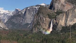 IMG_8186.MOV