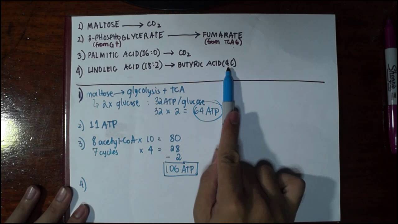 atp examples