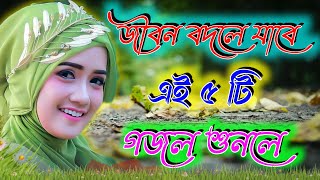 কুরআন হাদীস খুলে দেখো_Bangla Gojol_Islamic Gazal_New Gajal_Islamic Naat_2024 Ghazal_#new #gojol