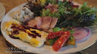 JAL Green Tourism 'Shodoshima' Summary ～JAL 週末ふるさとTrip 香川～小豆島～