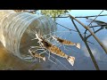 Shrimp traps from a water bottles. in the river in laos | Phubowbanna