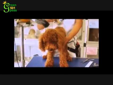 501 أغنية حب في أغسطس ل بارك جونغ مين  1 2 