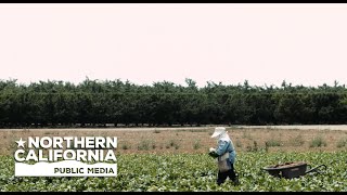 Bay Area Bountiful: The Changing Face of Agriculture