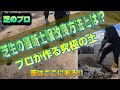 【芝の新トレンド】椿緑化式芝生管理法が始動します!全く新しい効果の高い土壌改良とは⁉