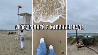 VLOG/ Калининград, Светлогорск, Зеленоградск, Куршская коса, Nordic Spa