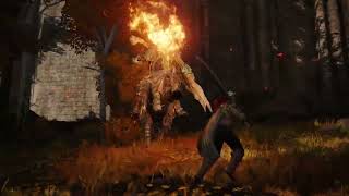 Elden Ring: No HUD just feels different also threw off my gaming