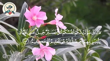 تلاوة مؤثرة من سورة يوسف ﴿ ولا تيأسوا من روح الله } وديع اليمني