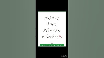 سورة الممتحنة - سورة 60 - اية 03