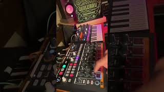 Drumbrute et Microfreak #electronicmusic #synth
