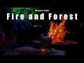 Pour on Fire and Forest #camping #MinutesCamp
