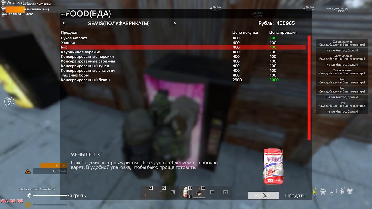Инжектор скриптов dayz