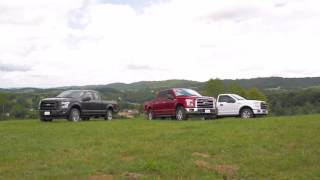 Career Overview About Us - Duncan Ford