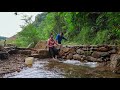 Clear Grass Around Ponds, Farms, Repair and Upgrade Pond Water Supply System | Family Farm