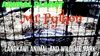 Animal Planet Ular Sawa Burma Langkawi Animal And Wildlife Park