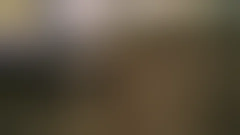 Police Shooting of Reuel Rodriguez-Nunez