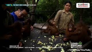 Rock Entertainment Continuity August 31, 2022