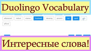 Duolingo Vocabulary: Read and Select: тренируемся вместе с опытным репетитором!