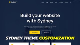 Sydney Theme Customization in Hindi || Sydney Theme Customization in 2024