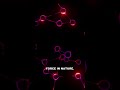 17 Particles Build All of Reality — The Standard Model Explained #shorts