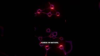 17 Particles Build All of Reality — The Standard Model Explained #shorts