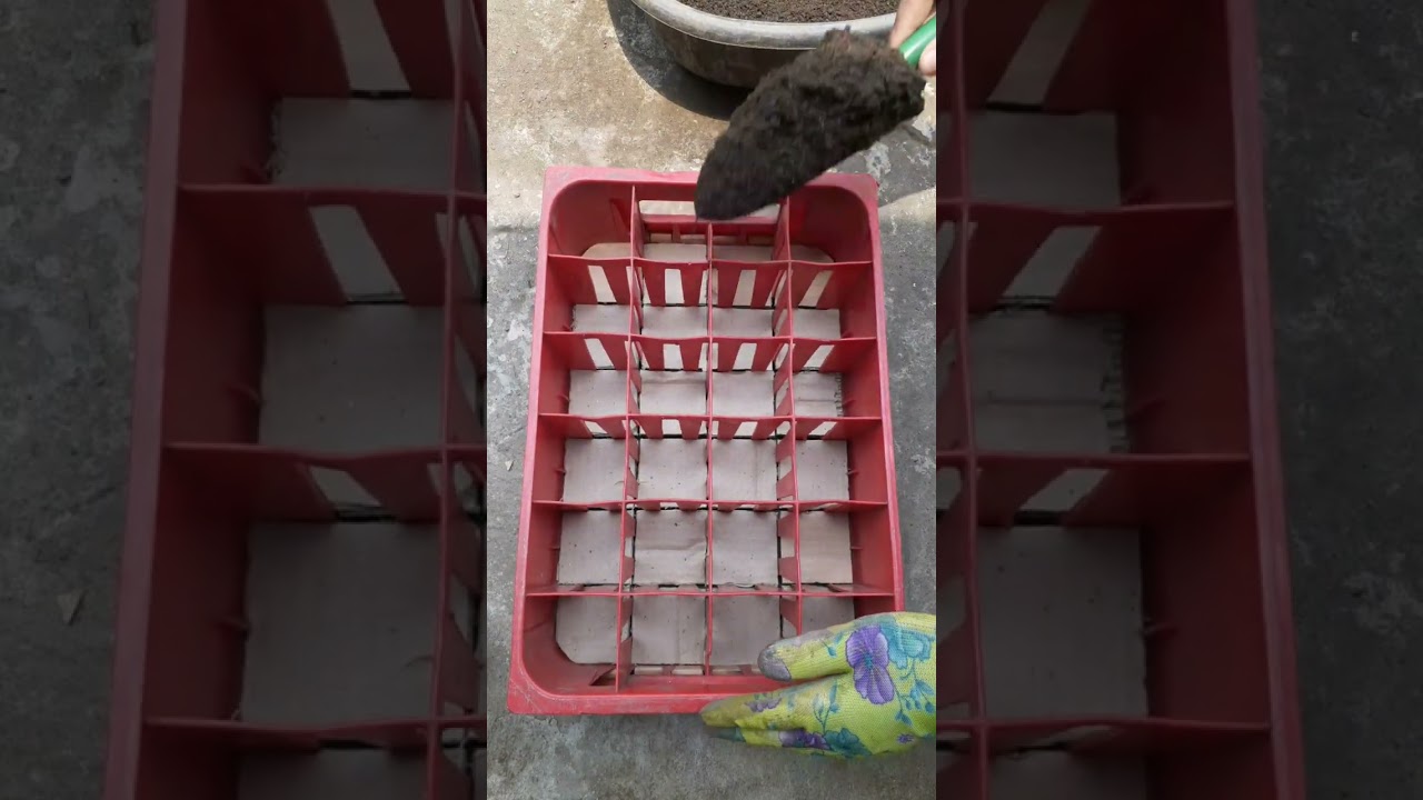 DIY Soft Drinks Case Planter | 