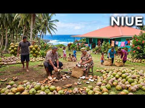 Living in Niue | How Life Works on a Forgotten Island in the South Pacific | 4K Travel Documentary
