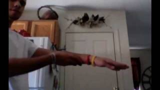 Awesome Revenge on Laptop Thief