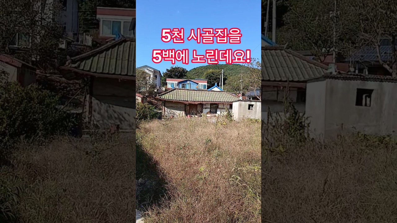 5천 시골집을 5백에 노린데요! 재미있는 shorts 옛날집 여행 부동산 부자집 빈집 멋진산 오지마을 전원주택