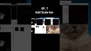 [Ep. 07] Insert scale bar with Macro #tutorial #fiji #imageanalysis #imageprocessing #shorts