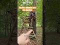 Revierarbeit für den neuen Sitz 🦌🌿Jagd auf Rehwild #jagd Salzlecke #jagen #rehwild