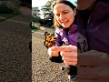Helping a Butterfly Take Flight Again | A Peaceful Nature Moment #HandofKindness