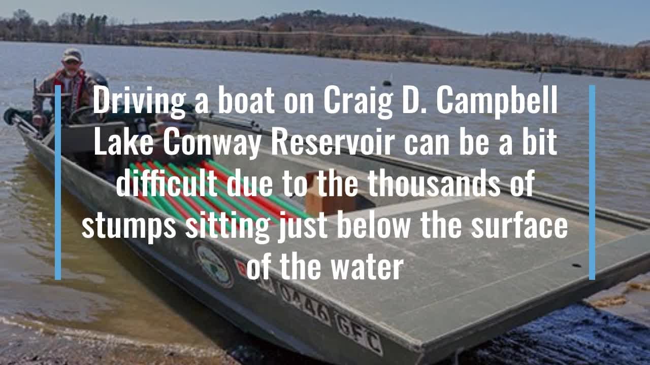 Improved stump removal process to renovate Lake Conway boat lanes YouTube