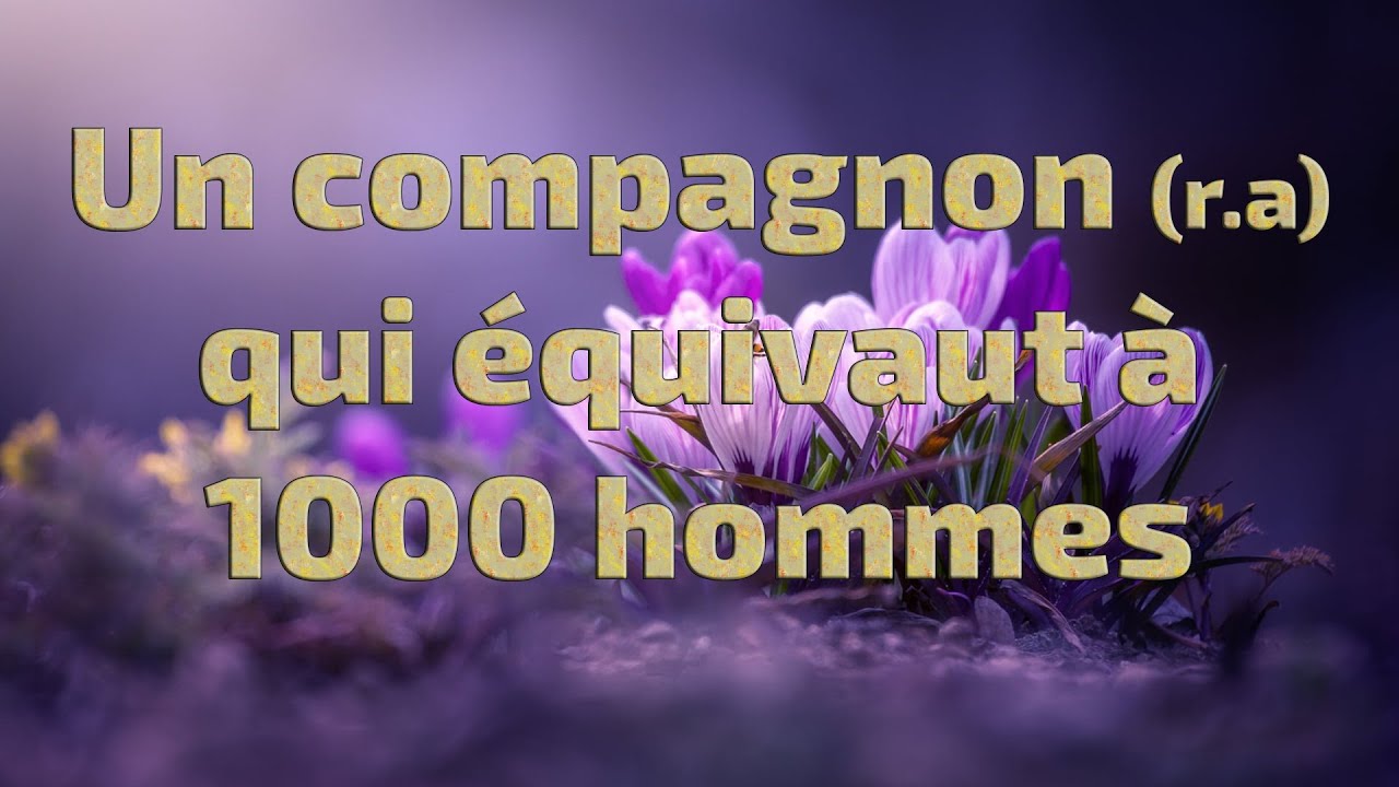 Un compagnon qui équivaut à 1000 hommes - Cheikh Islam